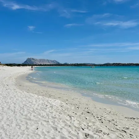 Appartamento Iss Travel, Panoramic Citai 14, Wonderful Sea View